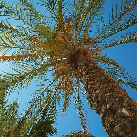 Kallitsakis Beach Platanés Dış mekan fotoğraf